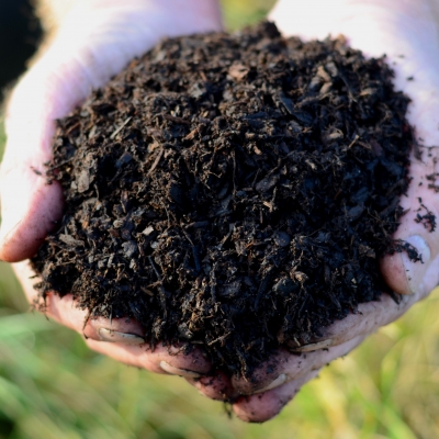 Ericaceous Soil Improver